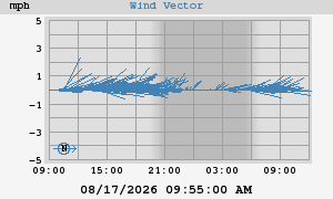 Wind Vector